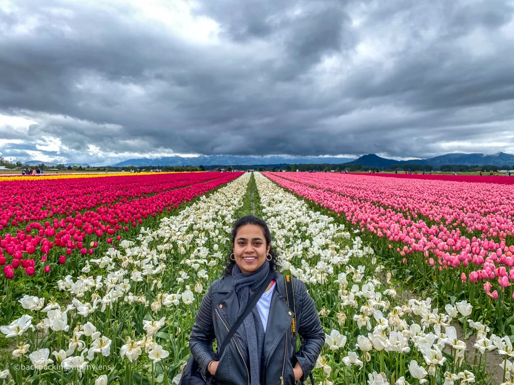 Skagit Valley Tulip Festival: A Guide to Spring Blooms and Beyond